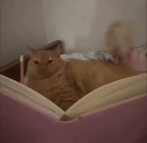 Motivation GIF